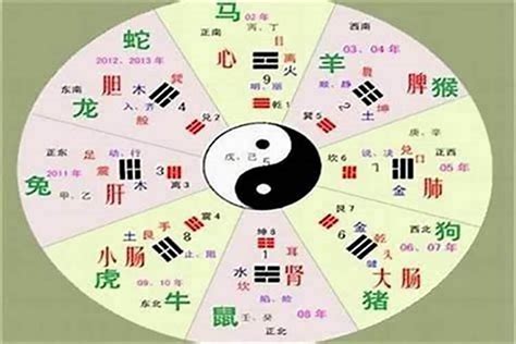 米字五行|米字的五行属性